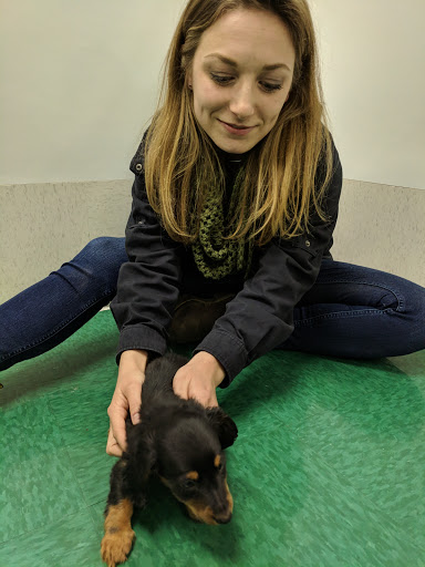 Pet Store «Petland Fairfax», reviews and photos, 9404 Main Street, Fairfax, VA 22031, USA