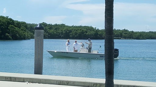 Park «Crandon Park», reviews and photos, 6747 Crandon Blvd, Key Biscayne, FL 33149, USA