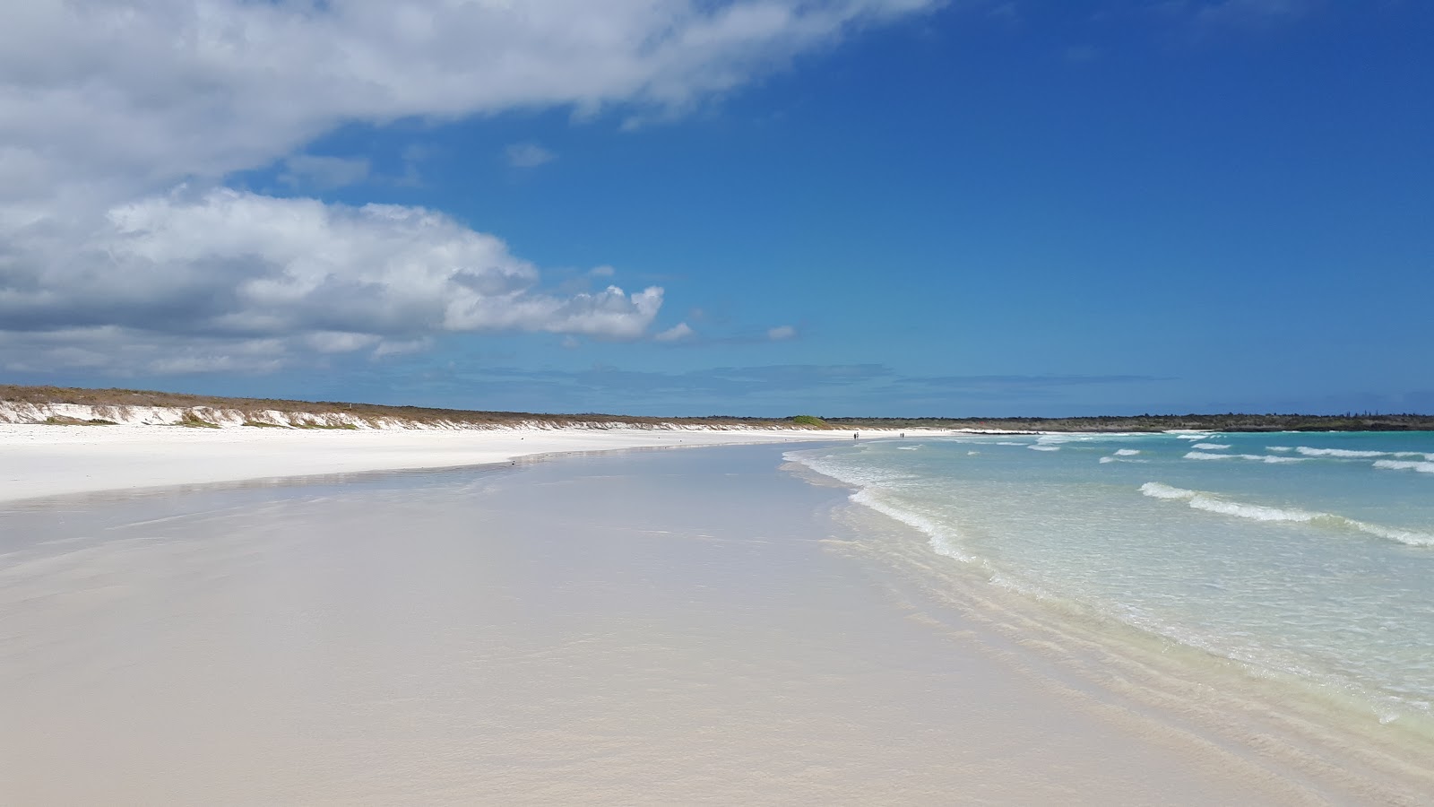 Foto di Tortuga Bay Galapagos area servizi