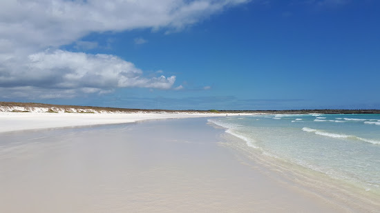 Tortuga Bay Galapagos