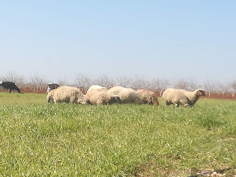ÇAMLICA ÖĞRENCİ YURDU