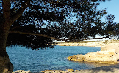 LES LAURIERS à Sausset-les-Pins