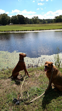 Kimie's Kritters LLC - Photo 7 - Car repair in , Durham