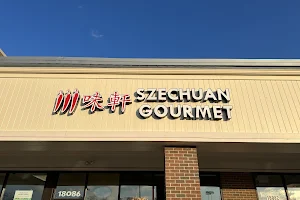 Szechuan gourmet (strongsville) image
