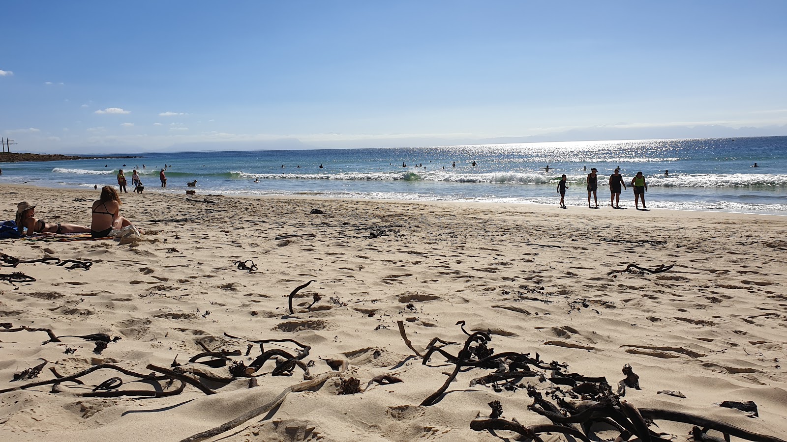 Glencairn beach'in fotoğrafı vahşi alan