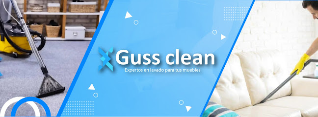 Guss Clean