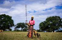 Damari McBride Photography - Photo 3 - Car repair in , Brooklyn