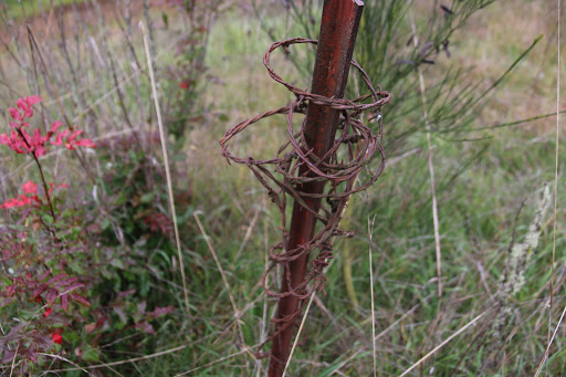 Park «Willamette Heights Park», reviews and photos, 508 Valley View, Springfield, OR 97477, USA