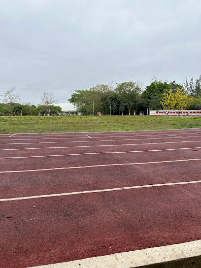 El Cocal - Cda de Educación 7, Col de los Maestros, 96849 Minatitlán, Ver., Mexico