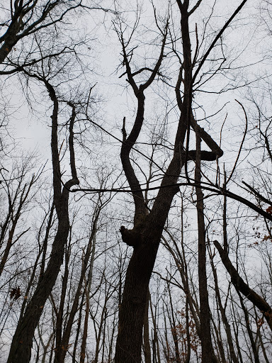 Park «Keehner park», reviews and photos, 7411 Barret Rd, West Chester Township, OH 45069, USA