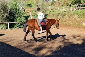 Quinta da Caldeira Equoterapia image