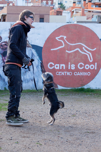 Can Is Cool Centro Canino