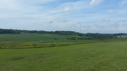 Winery «Winzerwald Winery», reviews and photos, 26300 North Indian Lake Rd, Bristow, IN 47515, USA