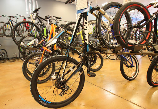 Bicycle Store «Bike America», reviews and photos, 700 N University Dr, Hollywood, FL 33024, USA