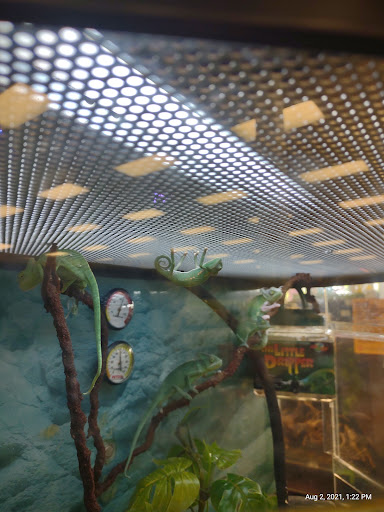 Pet Supply Store «Petco Animal Supplies», reviews and photos, 31419 Pacific Hwy S, Federal Way, WA 98003, USA