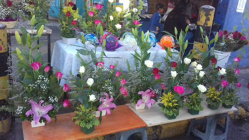 VENTA DE FLORES NATURALES Y ARREGLOS CAMILET florería en  en la zona Col. Ampliación, Valle de Aragon