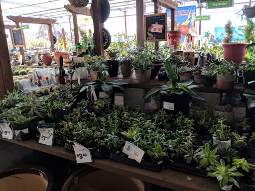 Hardware Store «Orchard Supply Hardware», reviews and photos, 1025 Ashby Ave, Berkeley, CA 94710, USA