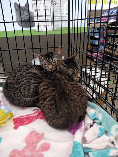 Pet Supply Store «Petco Animal Supplies», reviews and photos, 5850 Sepulveda Blvd, Van Nuys, CA 91411, USA