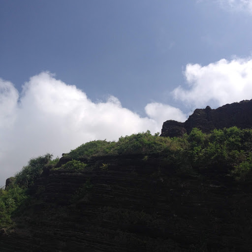 Top 20 cửa hàng akemi Huyện Lý Sơn Quảng Ngãi 2022