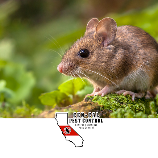Central California Pest Control