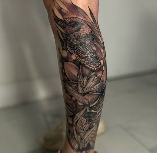 Explore dolphin tattoo ideas for females, creative tattoo ideas in Lockeford, available at Lucky You Tattoos Lockeford