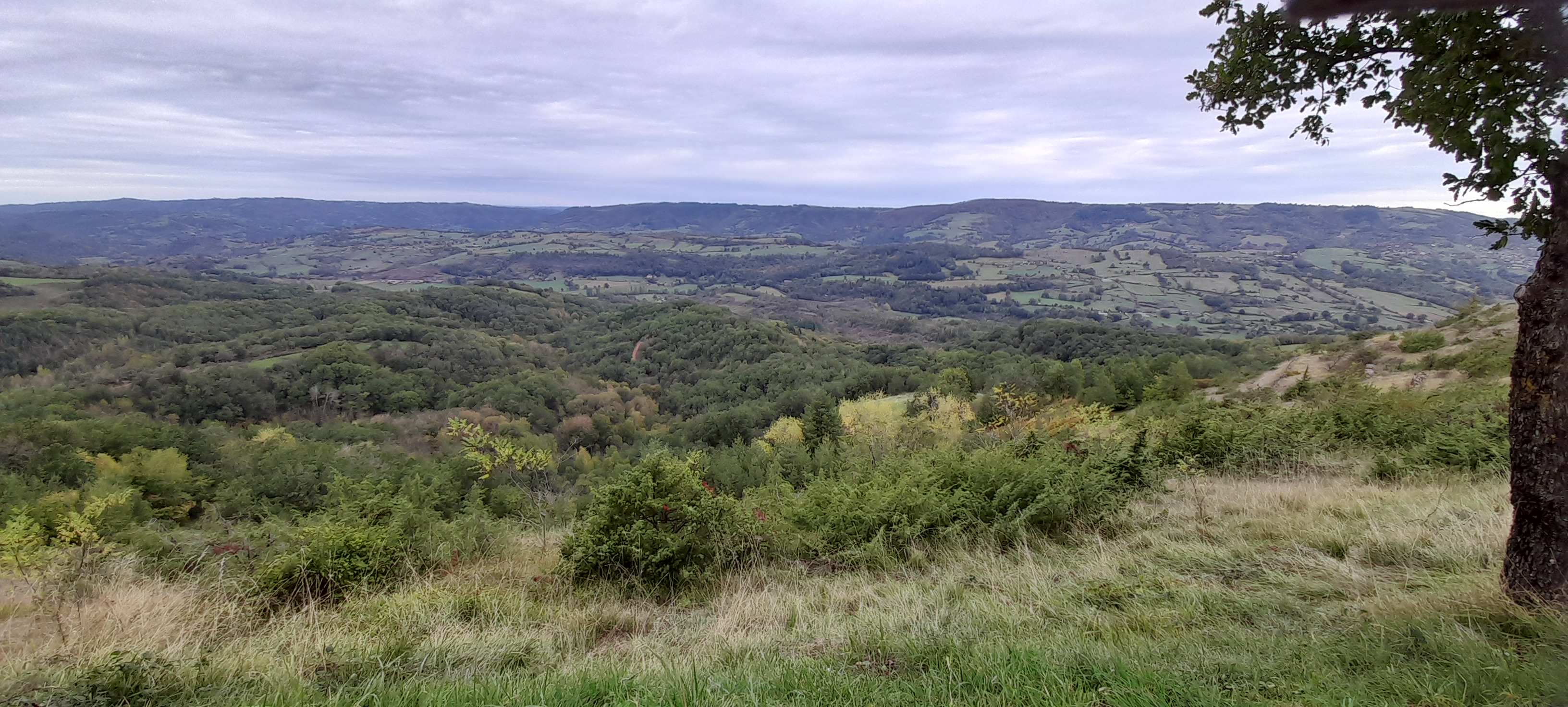 Photo n° 2 de l'avis de lau.e fait le 02/11/2023 à 16:32