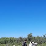 Photo n° 4 de l'avis de olivier.a fait le 03/07/2022 à 08:11 pour Tiki III à Saintes-Maries-de-la-Mer