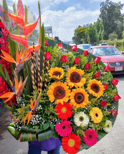 Floreria Jazmin / Flowers México – Tlalnepantla de Baz