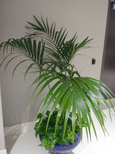 Casino «River Spirit Casino Resort», reviews and photos, 8330 Riverside Pkwy, Tulsa, OK 74137, USA