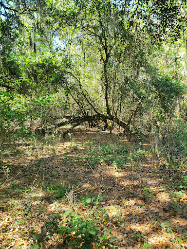 Nature Preserve «Marshall Hampton Reserve», reviews and photos, 3115 Thornhill Rd, Winter Haven, FL 33880, USA