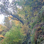 Photo n° 19 de l'avis de DonMontecristo4. fait le 23/10/2021 à 08:52 pour Randonnée Gorges de Carançà à Thuès-Entre-Valls