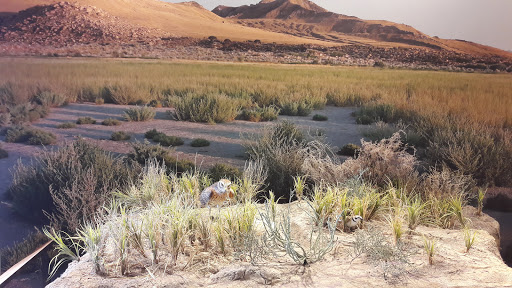 Natural History Museum «Natural History Museum of Utah», reviews and photos, 301 Wakara Way, Salt Lake City, UT 84108, USA