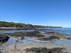 Puako Beach'in fotoğrafı vahşi alan