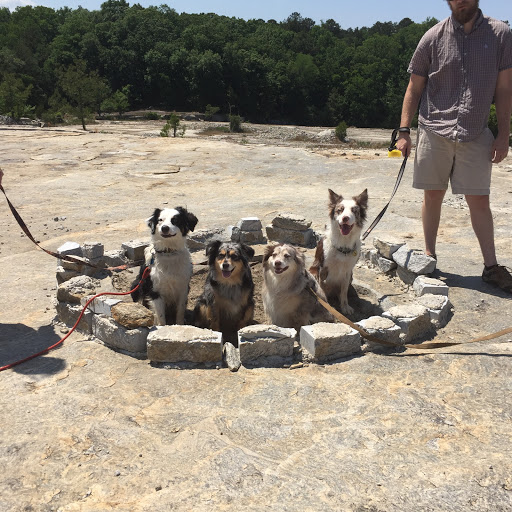 Nature Preserve «Davidson-Arabia Nature Preserve», reviews and photos, 3787 Klondike Rd, Lithonia, GA 30038, USA