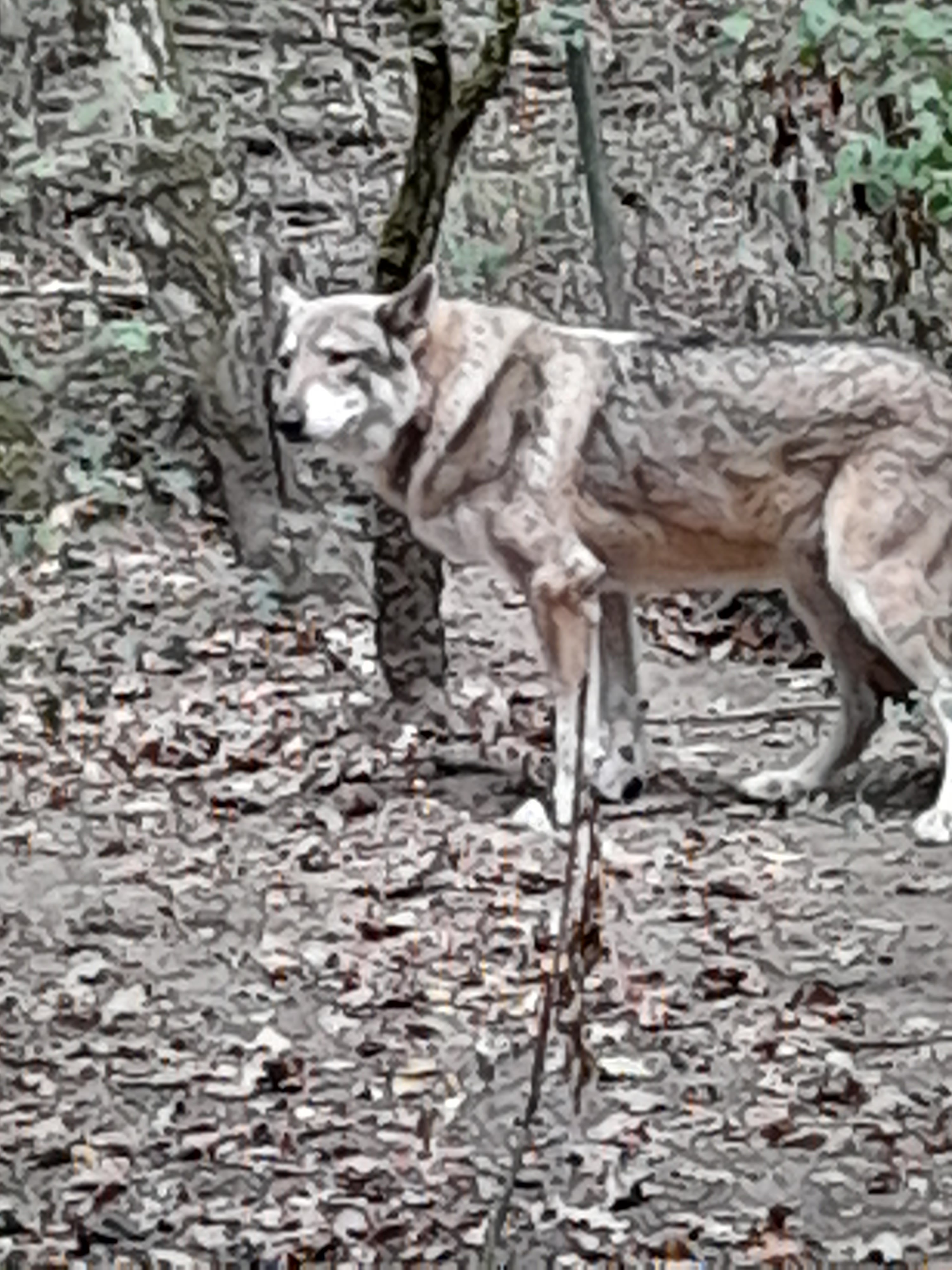 Photo n° 5 de l'avis de céléna.a fait le 02/09/2022 à 15:53