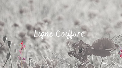 Ligne Coiffure à Thaon-les-Vosges
