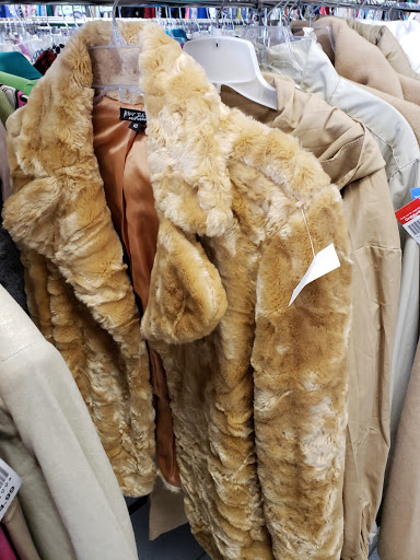 Thrift Store «Goodwill Stamford Store & Donation Station», reviews and photos