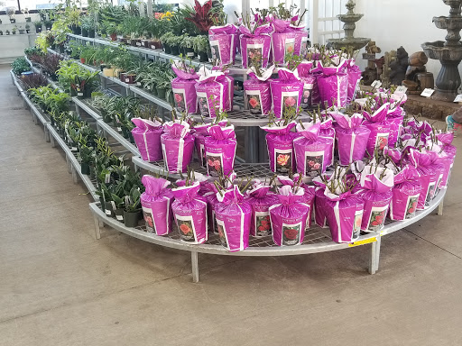 Home Improvement Store «Menards», reviews and photos, 3215 W North Ave, Melrose Park, IL 60160, USA