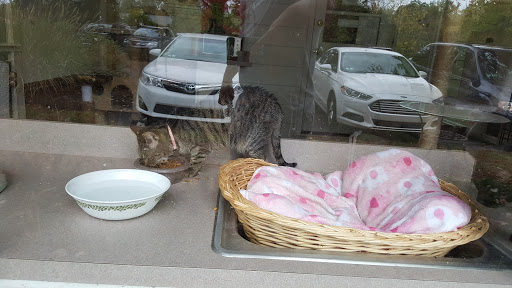 Ice Cream Shop «Polish Water Ice», reviews and photos, 4039 Skippack Pike #8, Skippack, PA 19474, USA