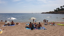 Plage du Pourrousset'in fotoğrafı imkanlar alanı
