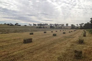 Hay and Straw image