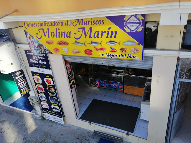 Comercializadora de mariscos Molina Marin