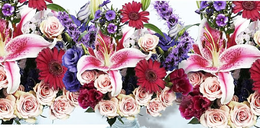 Florist «R J Carbone Wholesale Floral Distributors», reviews and photos, 1 Goddard Rd, Cranston, RI 02920, USA