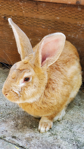 Deli «Country Grains», reviews and photos, 14601 Arndt Rd, Aurora, OR 97002, USA