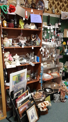 Craft Store «Homestead Hand Crafts», reviews and photos, 4536 Thousand Oaks # 106, San Antonio, TX 78233, USA