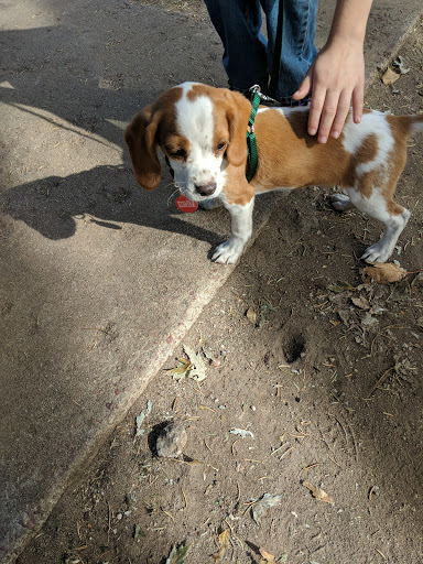 Pet Store «Pet City Pet Shops», reviews and photos, 750 Citadel Dr N # 2092, Colorado Springs, CO 80909, USA