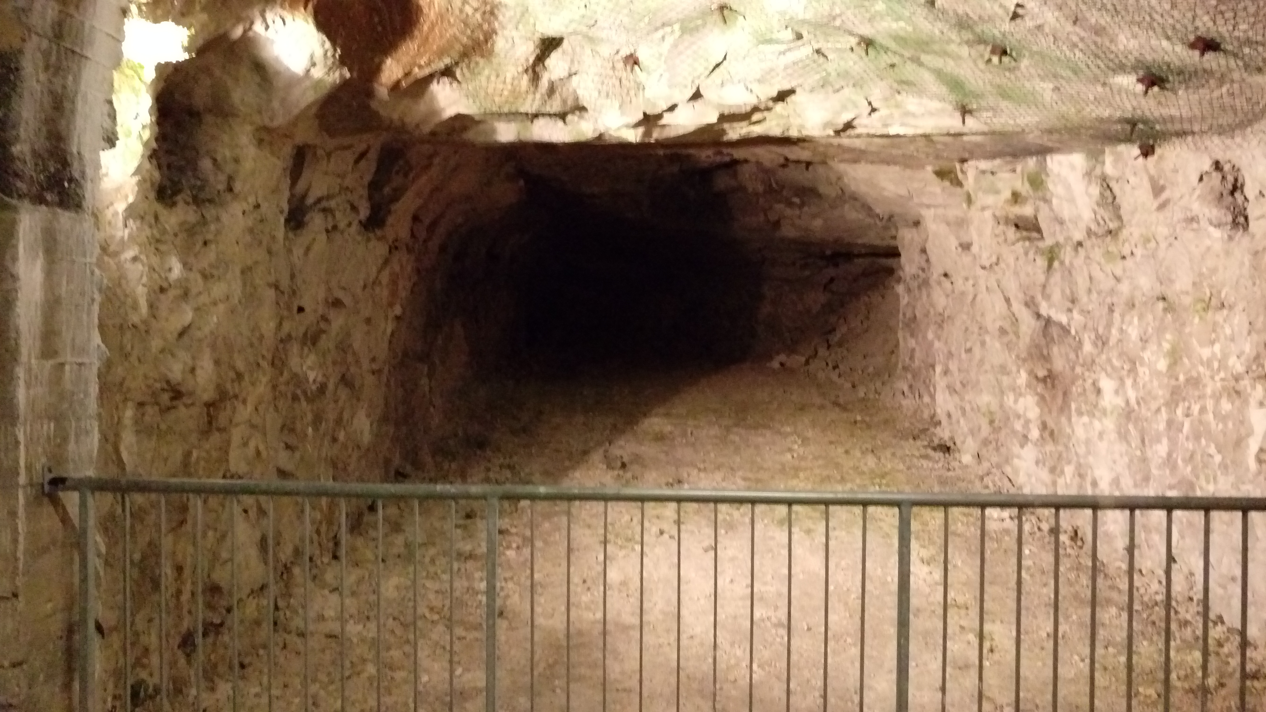 Photo n° 16 de l'avis de Ernesto.h fait le 21/02/2019 à 12:43