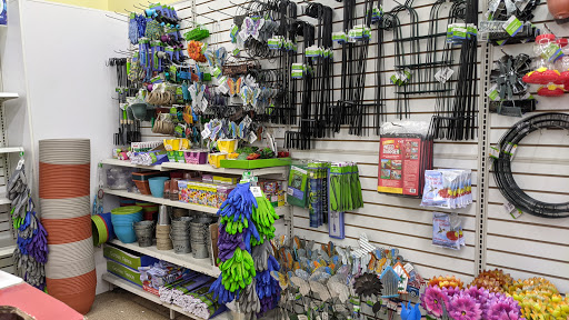 Dollar Store «Dollar Tree», reviews and photos, 79700 CA-111 c105, La Quinta, CA 92253, USA