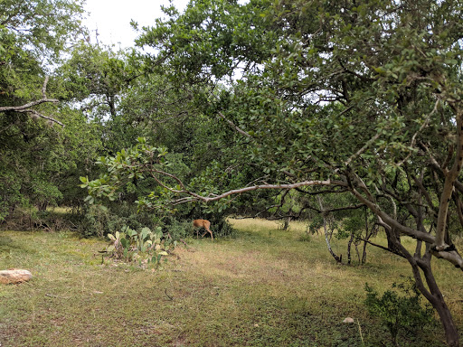 Park «Phil Hardberger Park», reviews and photos, 13203 Blanco Rd, San Antonio, TX 78216, USA