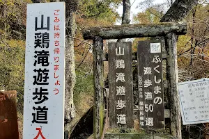 山鶏滝 image